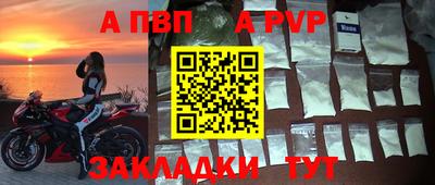 бошки Дубна
