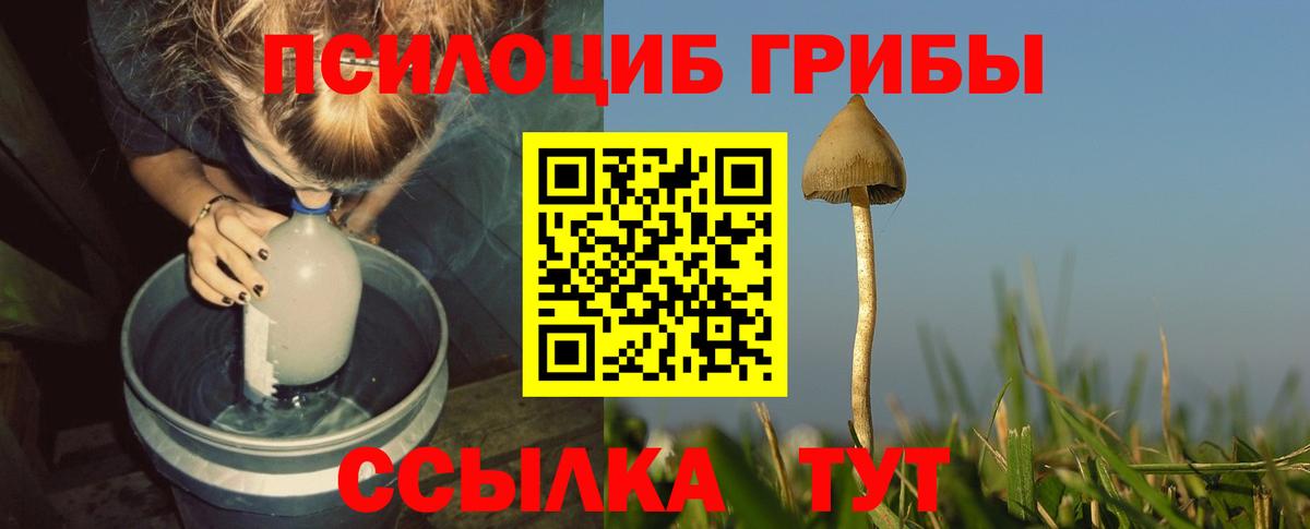 Псилоцибиновые грибы ЛСД  Вход с VPN  Минусинск  Псилоцибиновые грибы мухоморы 